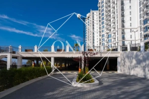 Изображение 8