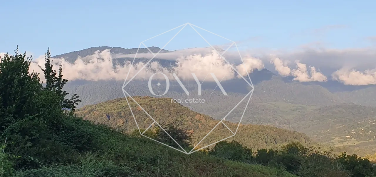 Изображение 8