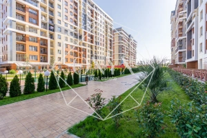 Изображение 11