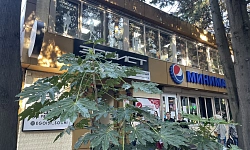 магазин Продуты и Эгоист на Московской