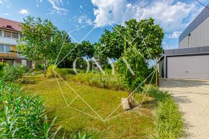 Изображение 13