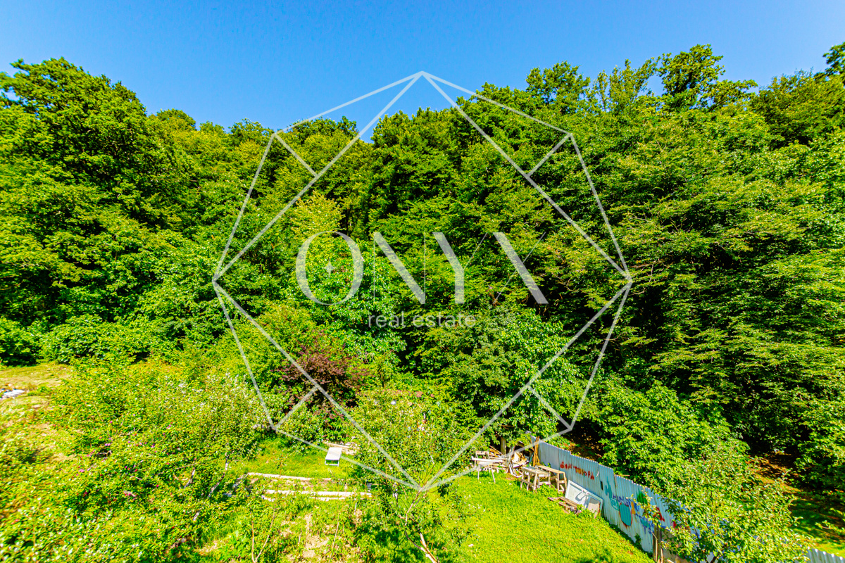 Изображение 18