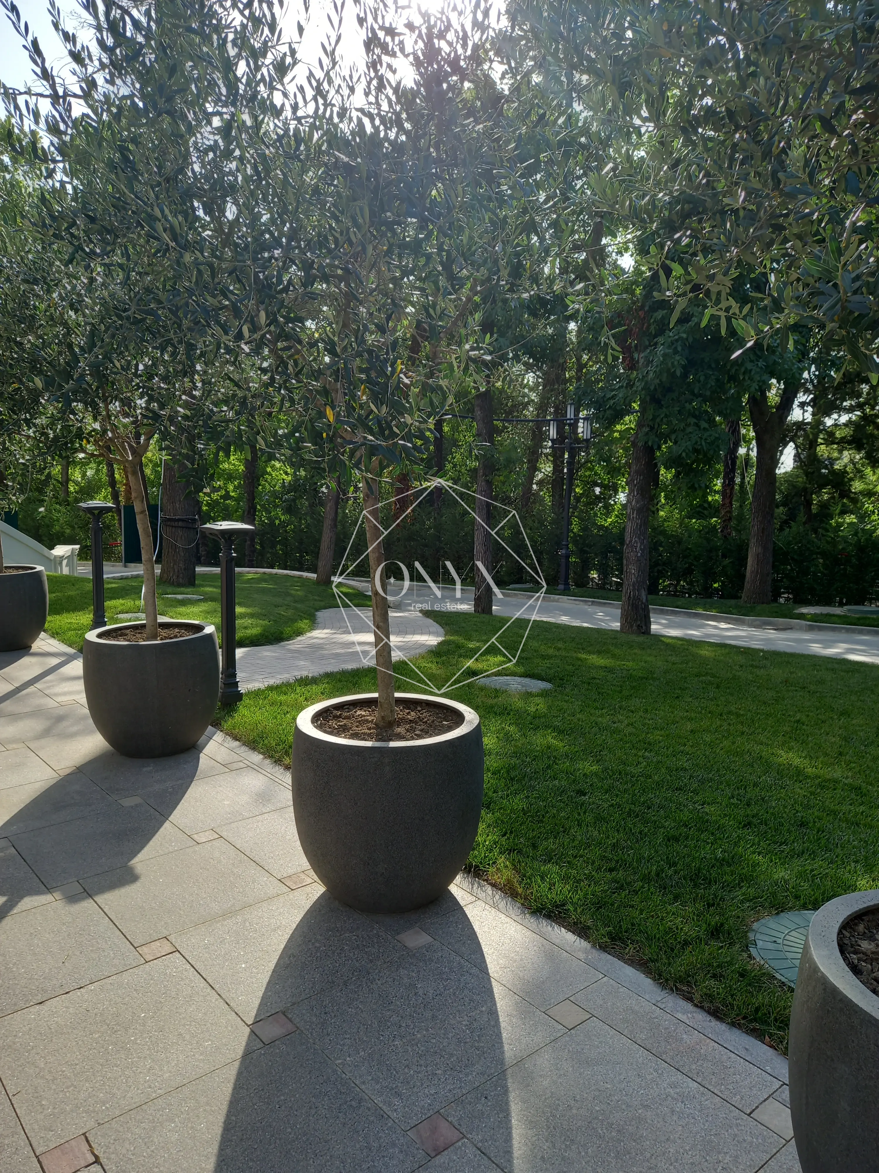 Изображение 16