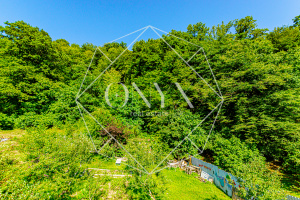 Изображение 18