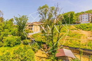 Изображение 19