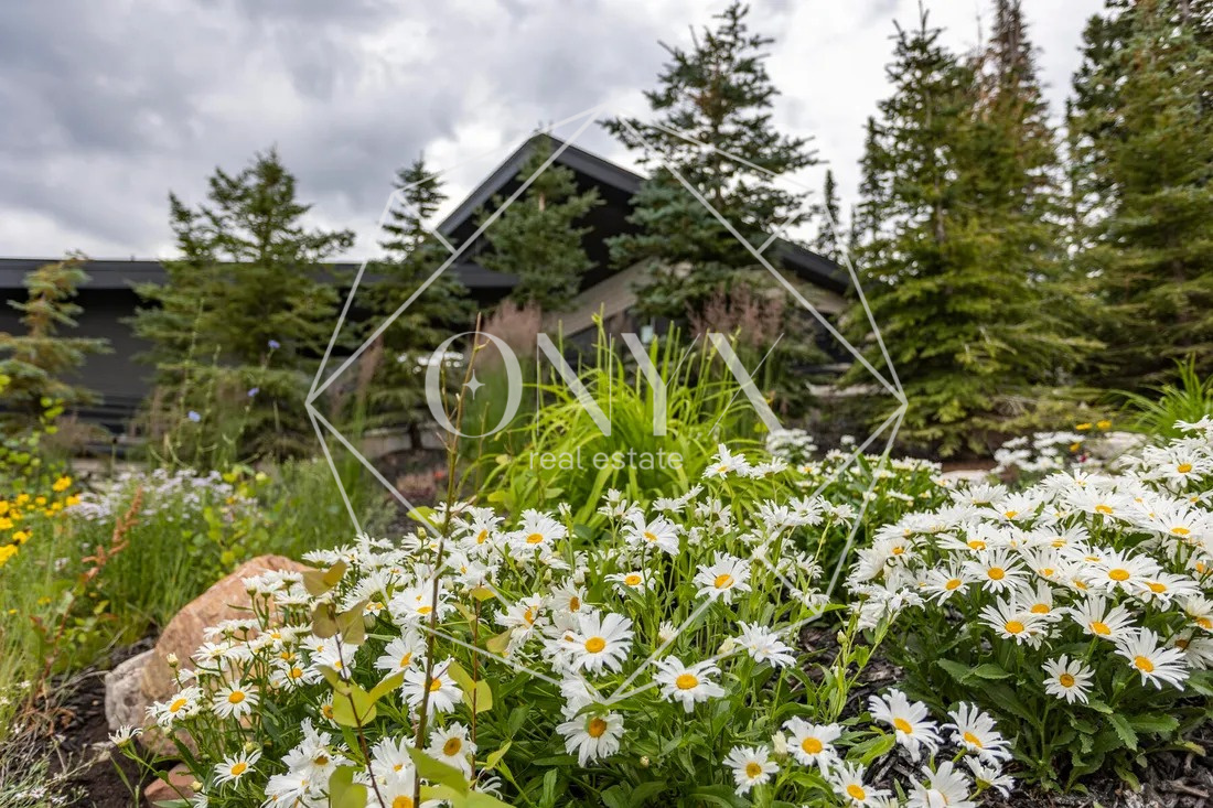 Изображение 18