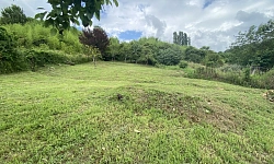 Участок в лесу