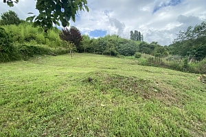 Участок в лесу