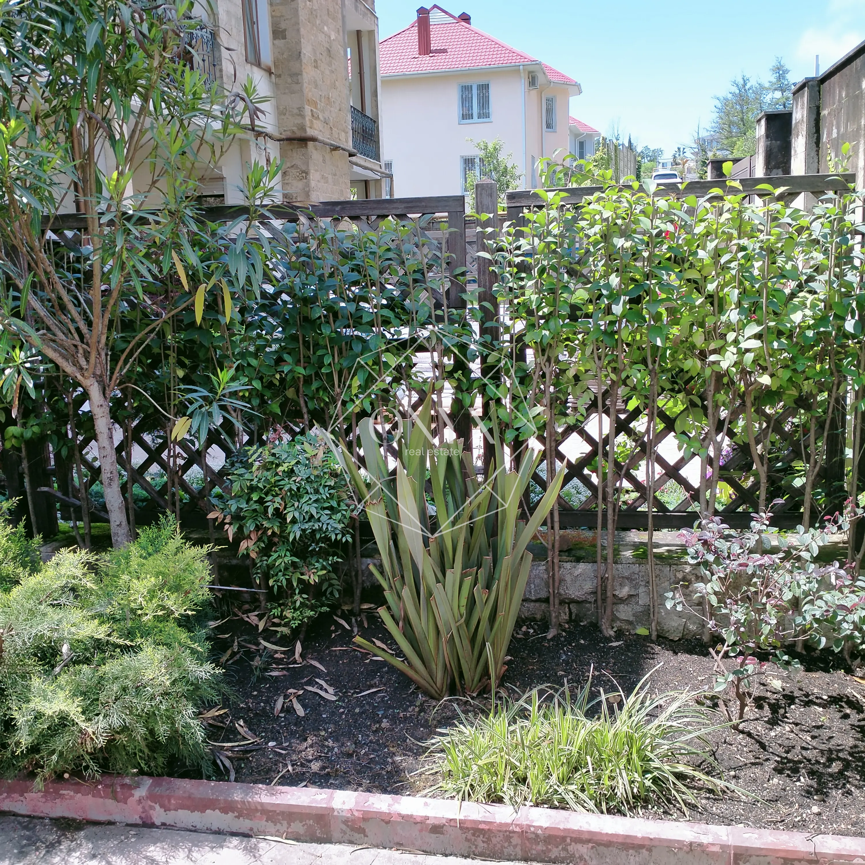 Изображение 20