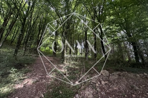 Изображение 18