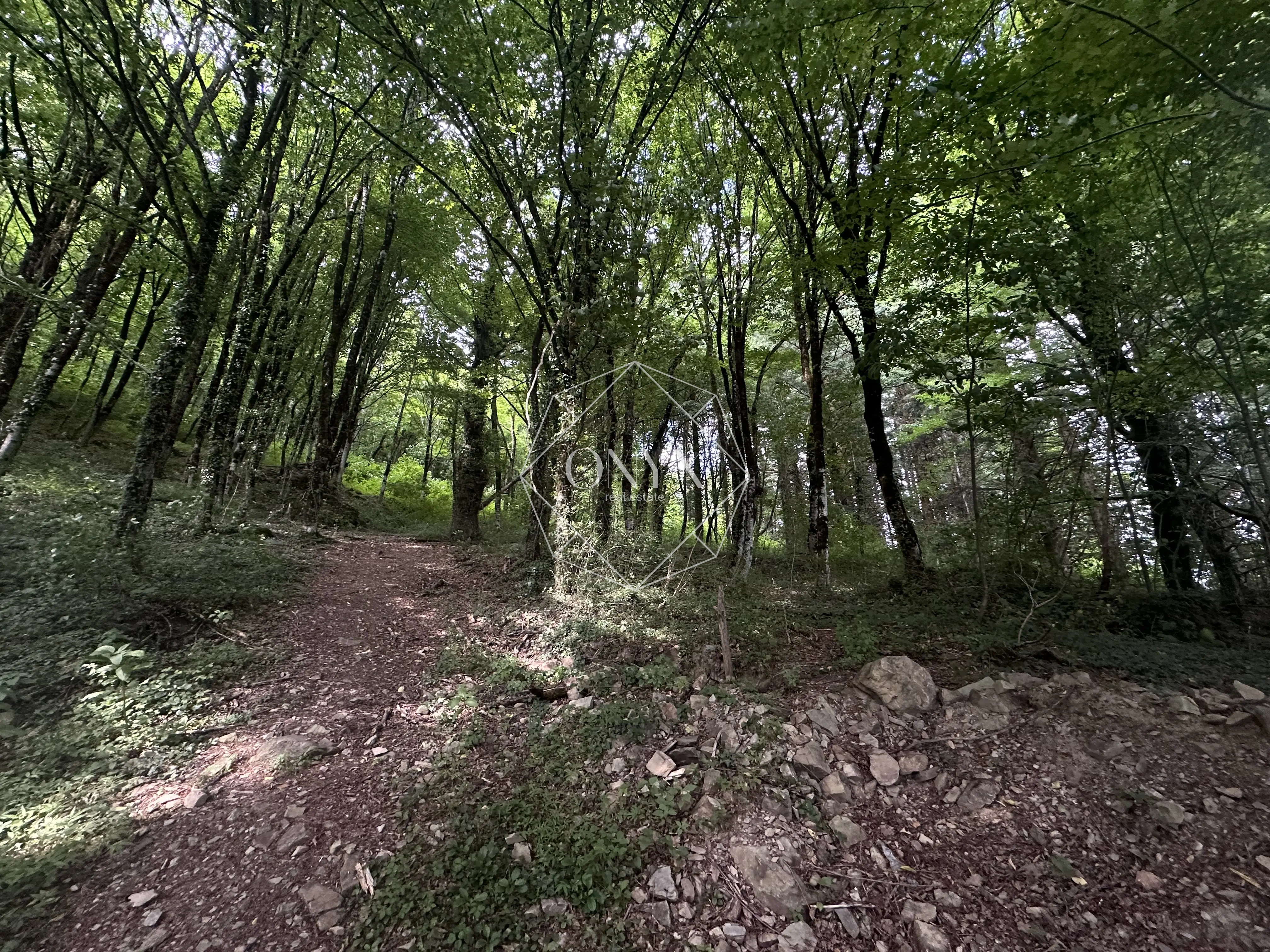 Изображение 18