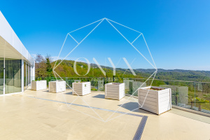 Изображение 52