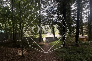 Изображение 14