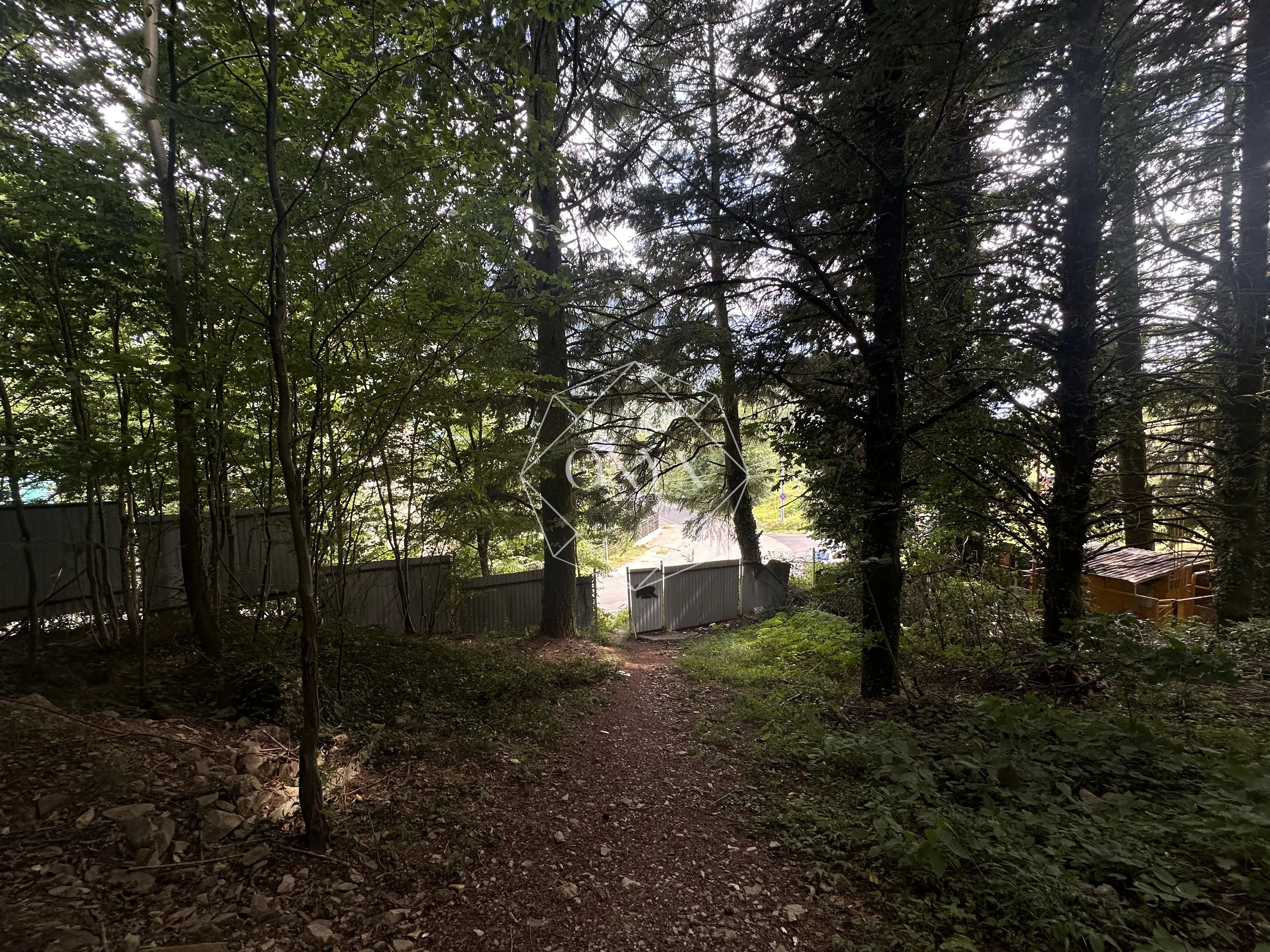 Изображение 14