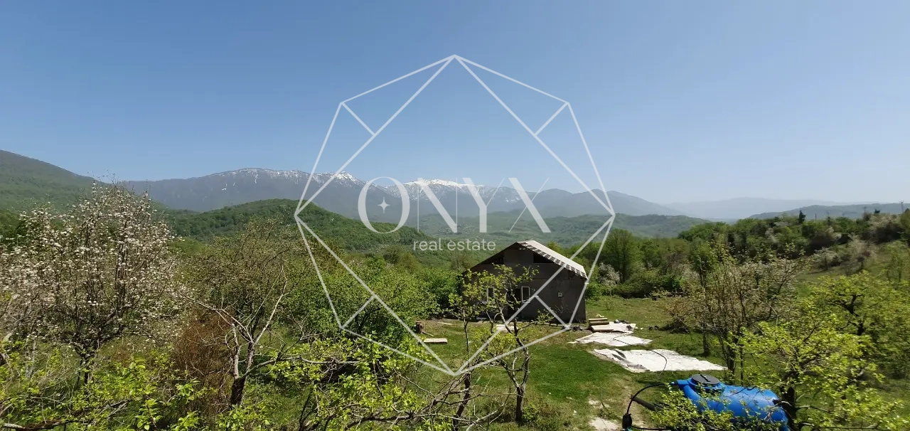 Изображение 9