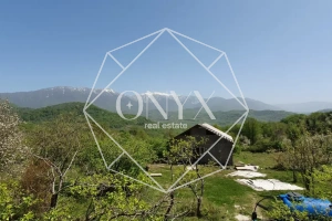 Изображение 9