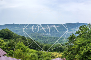 Изображение 22