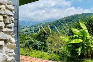 Изображение 13