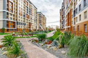 Изображение 14