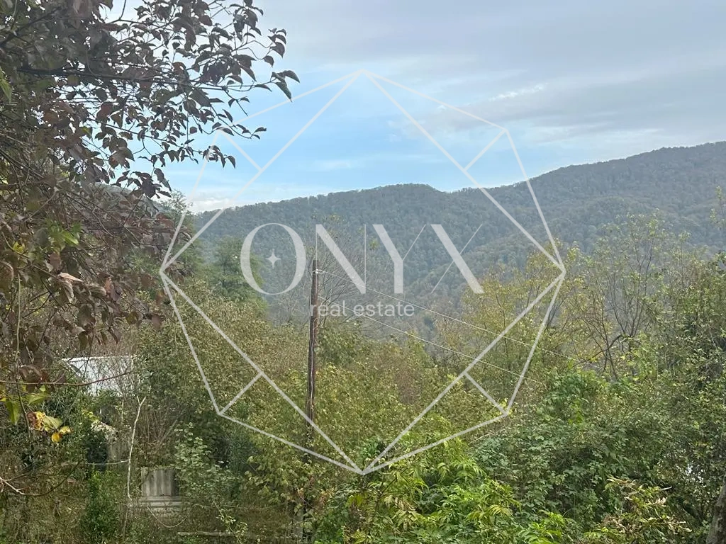 Изображение 9