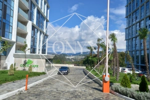 Изображение 22