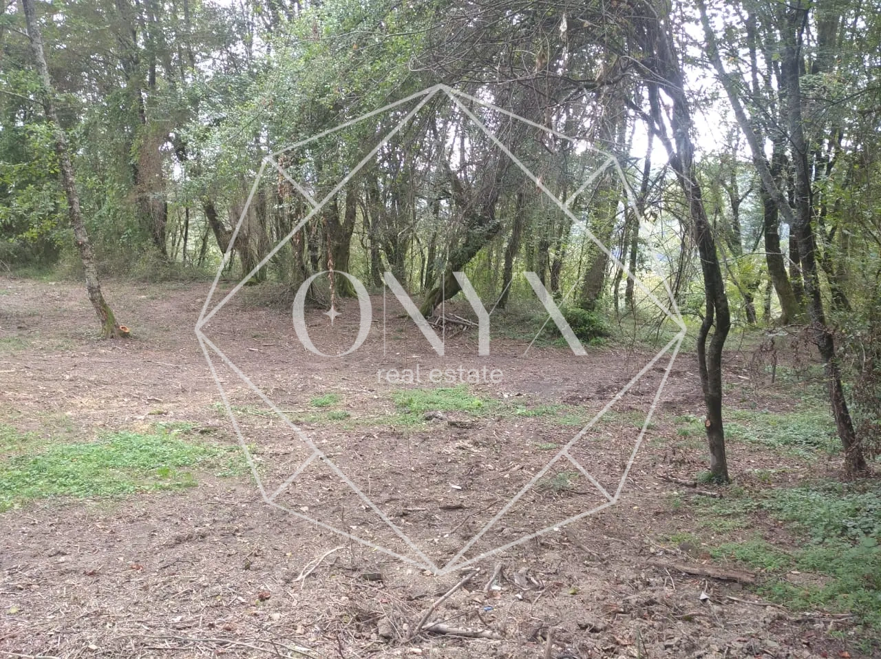 Изображение 10