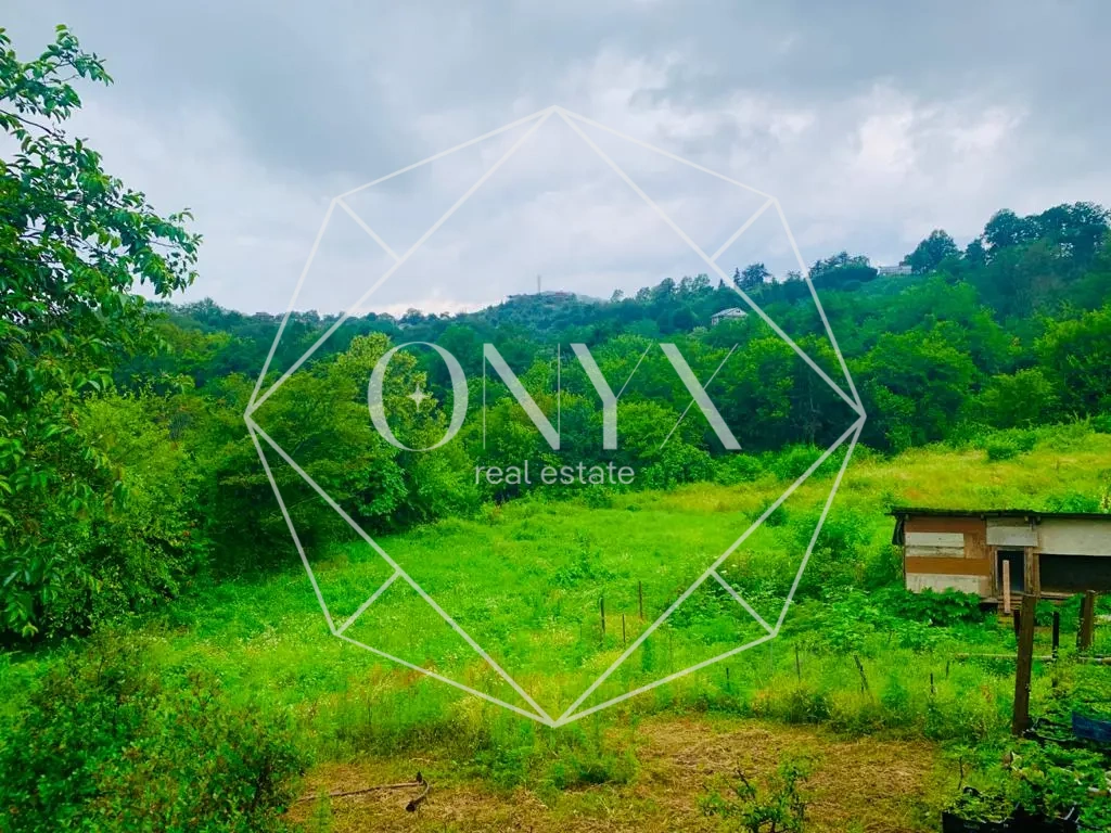 Изображение 8