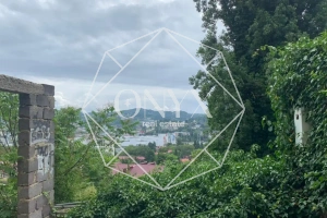 Изображение 13