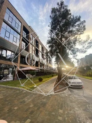 Изображение 12