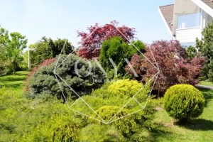 Изображение 14