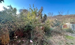 Хороший участок в хорошей локации