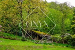 Изображение 29