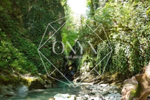 Изображение 9