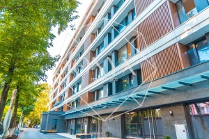 Изображение 8