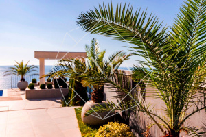 Изображение 8