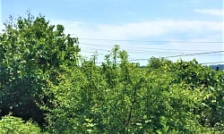 Продам видовой участок в Сергей-поле