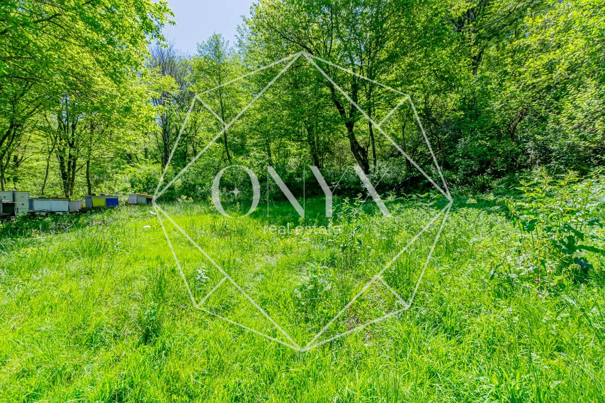 Изображение 9