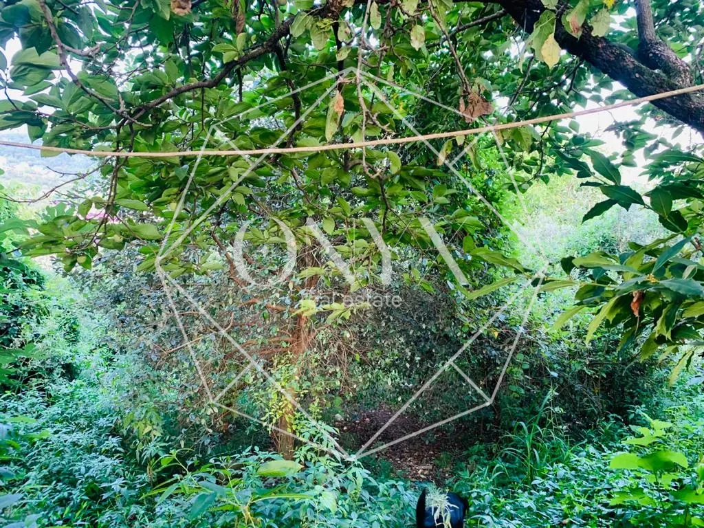 Изображение 16