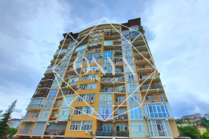 Изображение 12