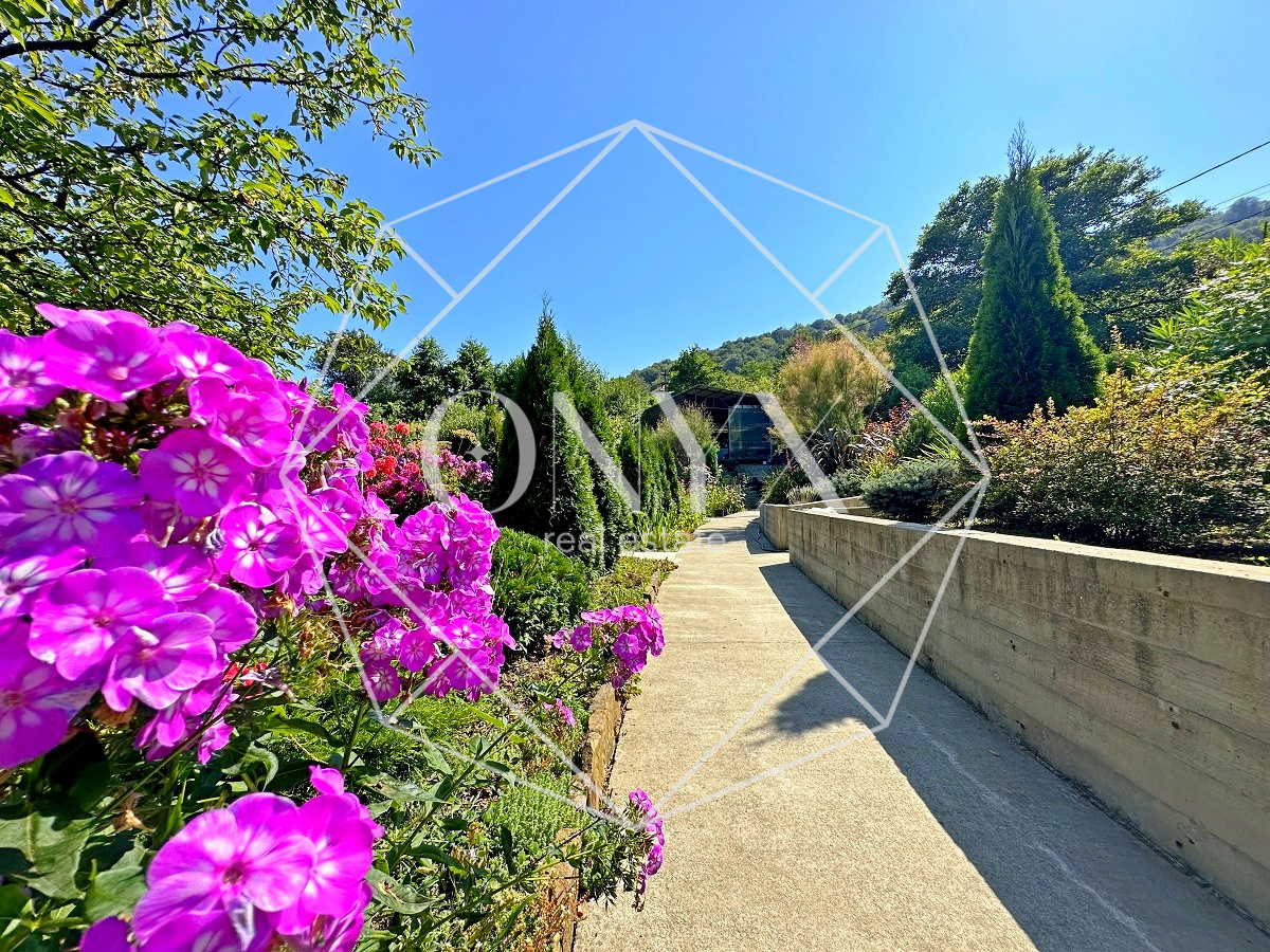 Изображение 19