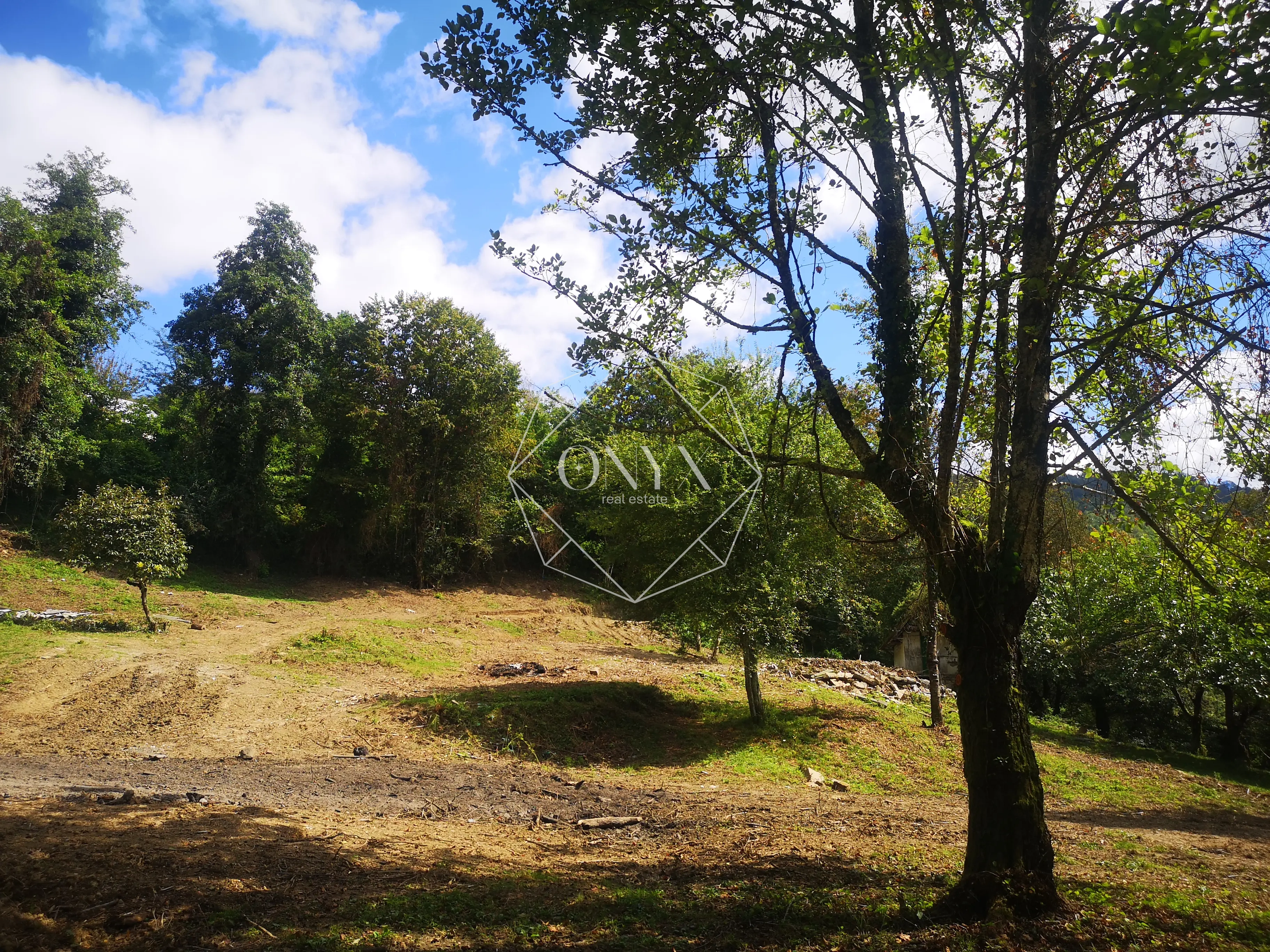 Изображение 10