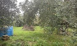 Идеально ровный участок, до Олимпийского парк...