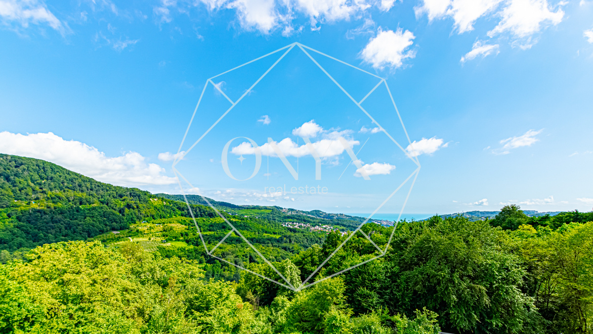 Изображение 21