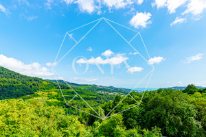 Изображение 21