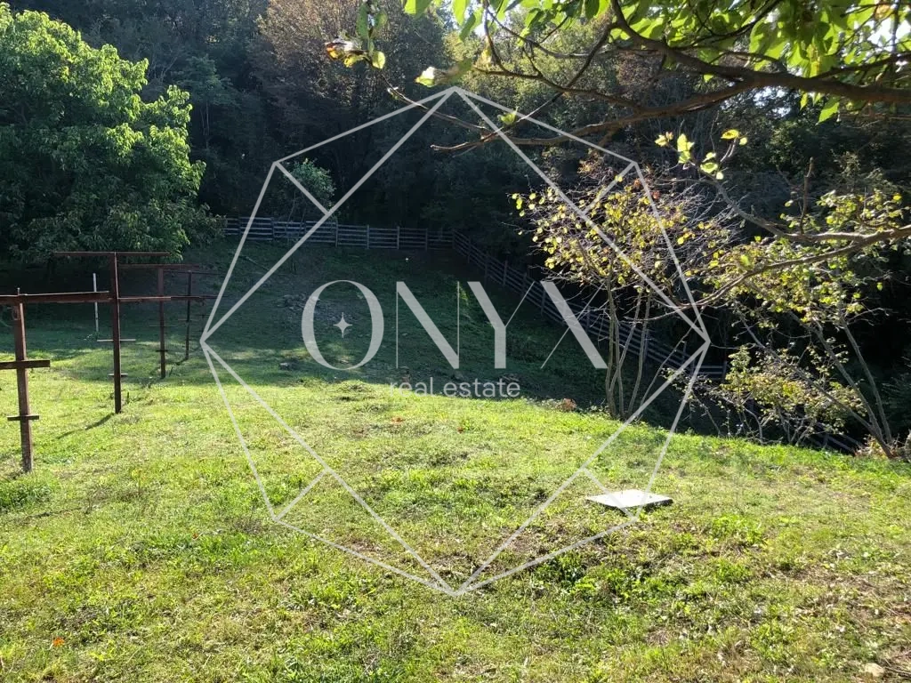 Изображение 11