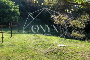 Изображение 11