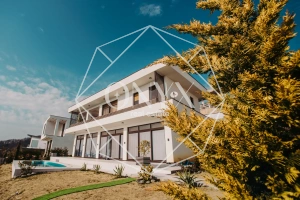 Изображение 12