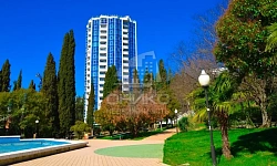 АК Светлана