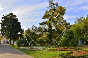 Изображение 7