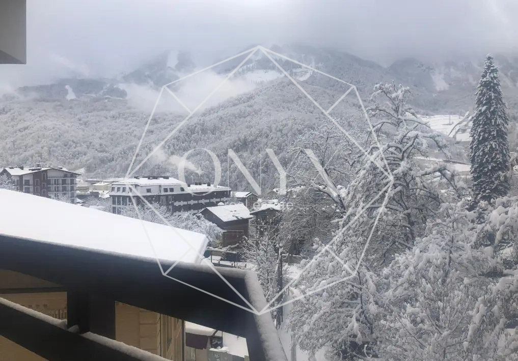 Изображение 4